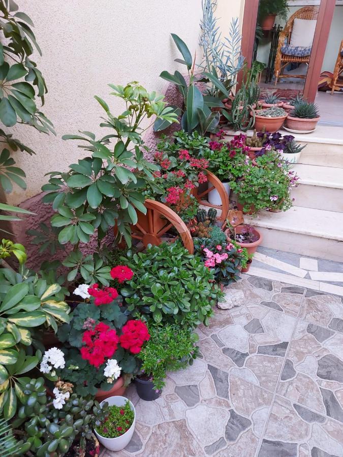 Vila Kodra Tiranë Ngoại thất bức ảnh